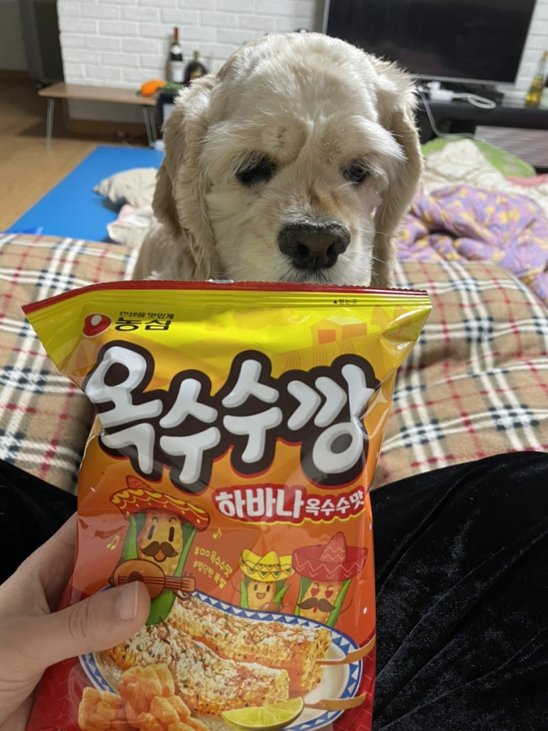 규람마트 이미지