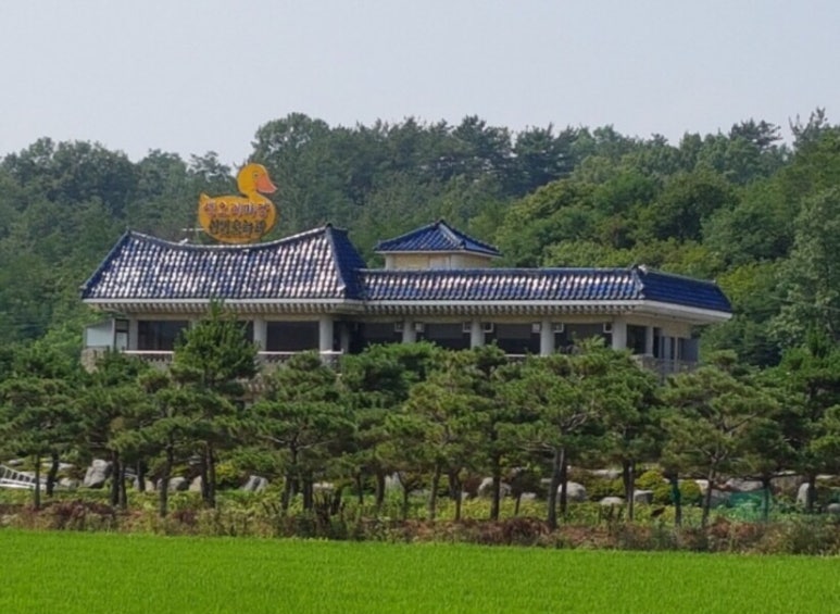 생오리마당 이미지