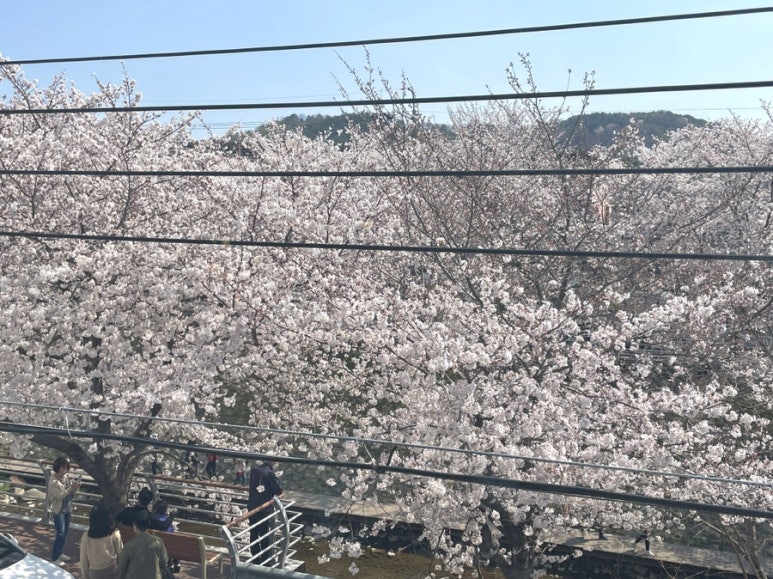 카페드꼬떼 이미지