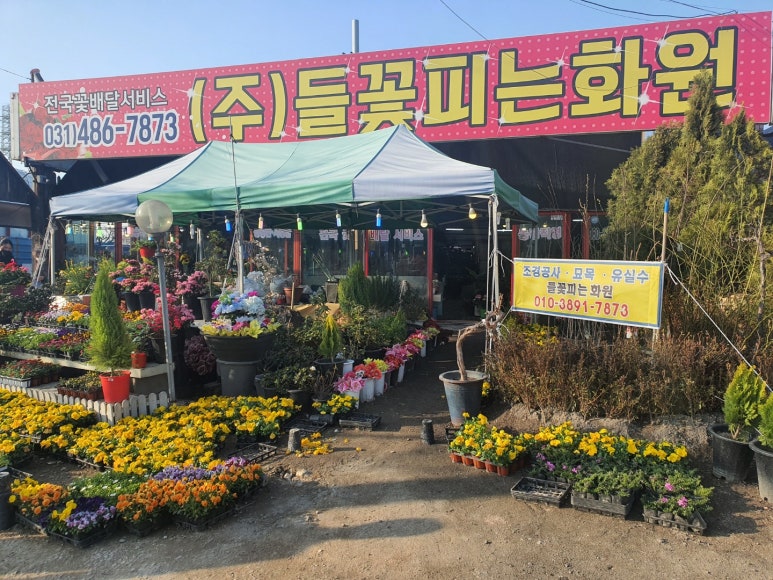 들꽃피는화원 이미지