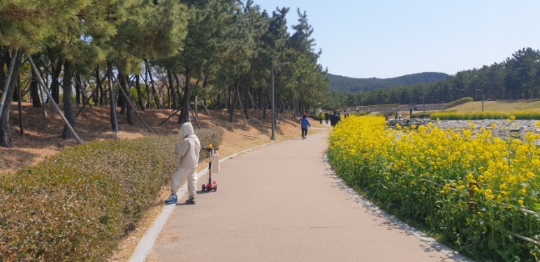 무인문구가자 이미지
