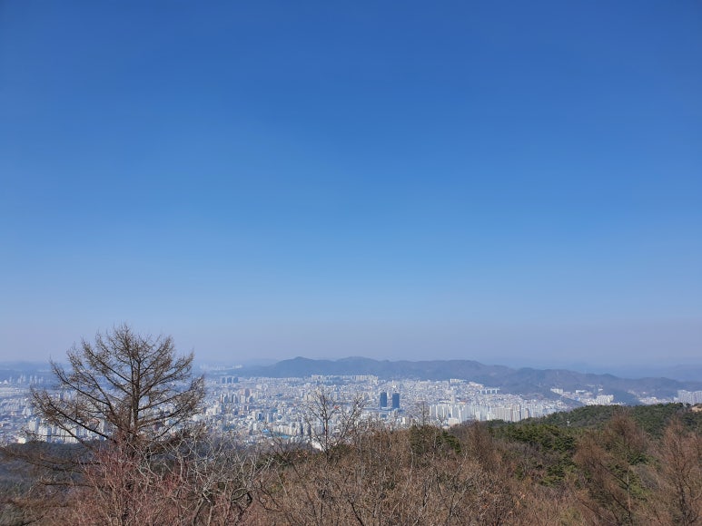 푸른법무사사무소 이미지
