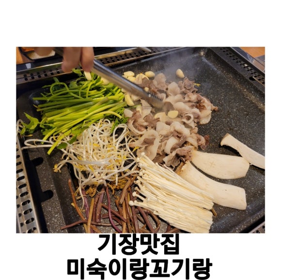 미숙이랑꼬기랑 이미지