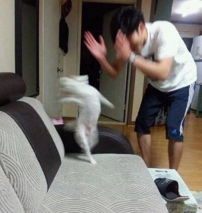 라베일르 이미지