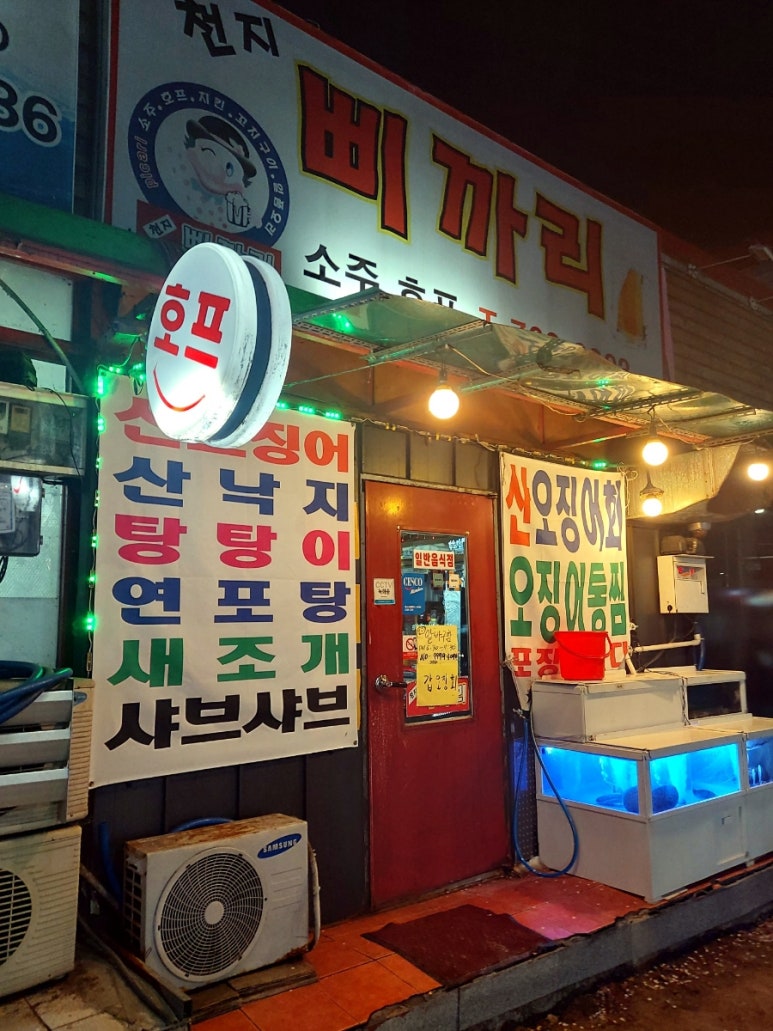 천지삐까리2 이미지