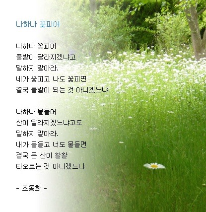 나하나 이미지