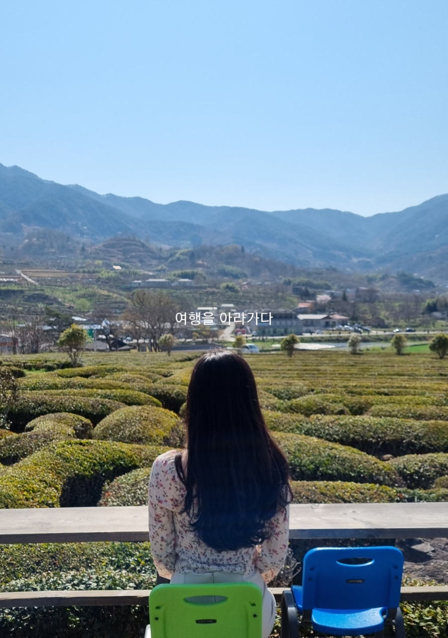 다원다방 이미지