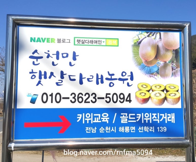 다래랑다육 이미지