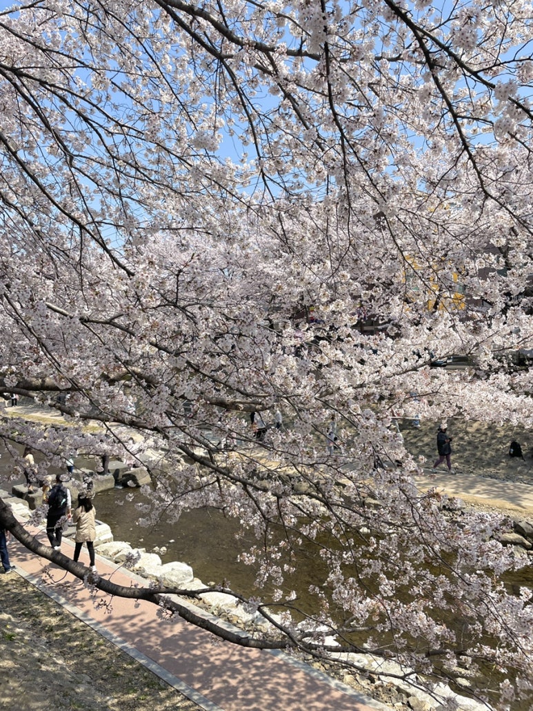 카페드꼬떼 이미지