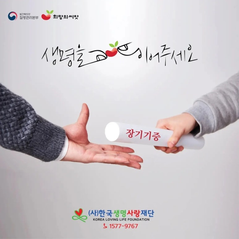엔젤세이버 이미지