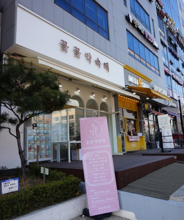 꽃꽃약속해 이미지