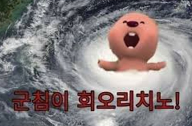 365베이핑 이미지