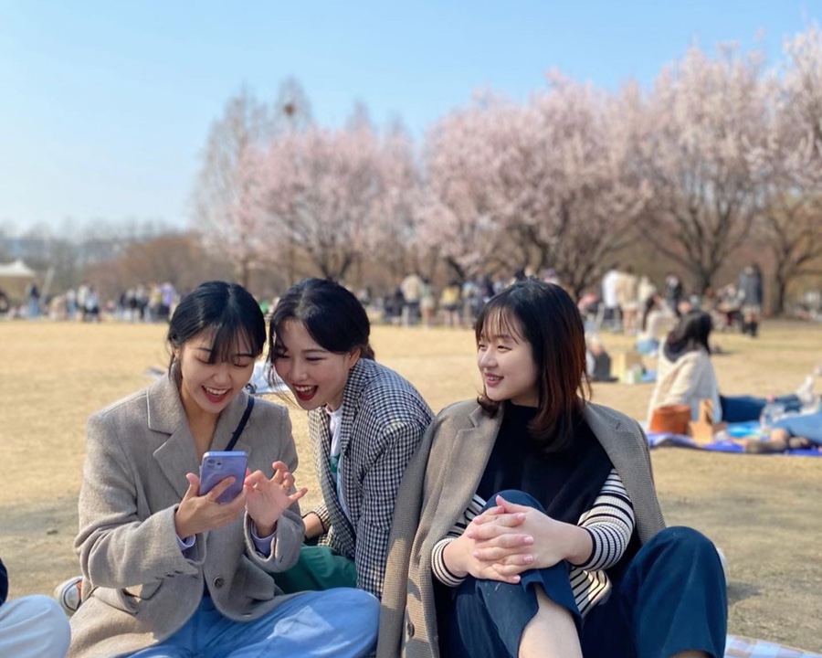 벚꽃식당 이미지