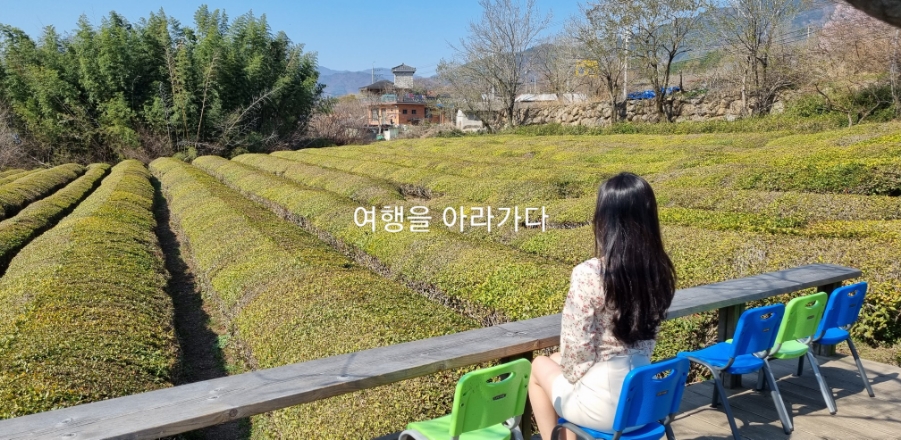 다원다방 이미지