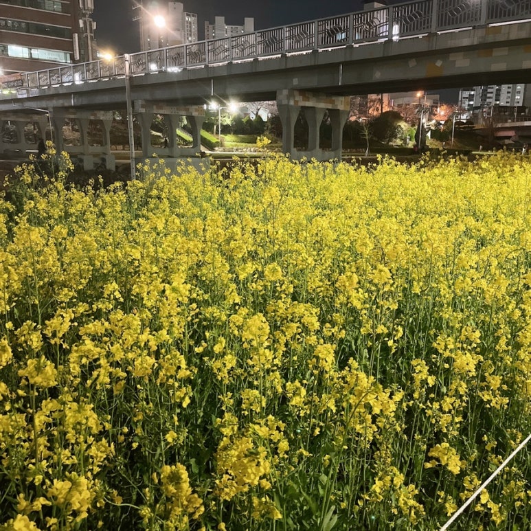 우마이라멘연산가족점 이미지