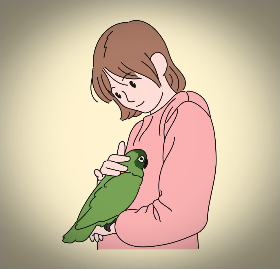 한국장례복지협회 이미지