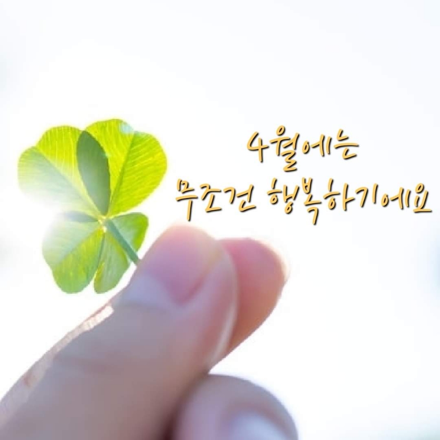 황금포장마차 이미지