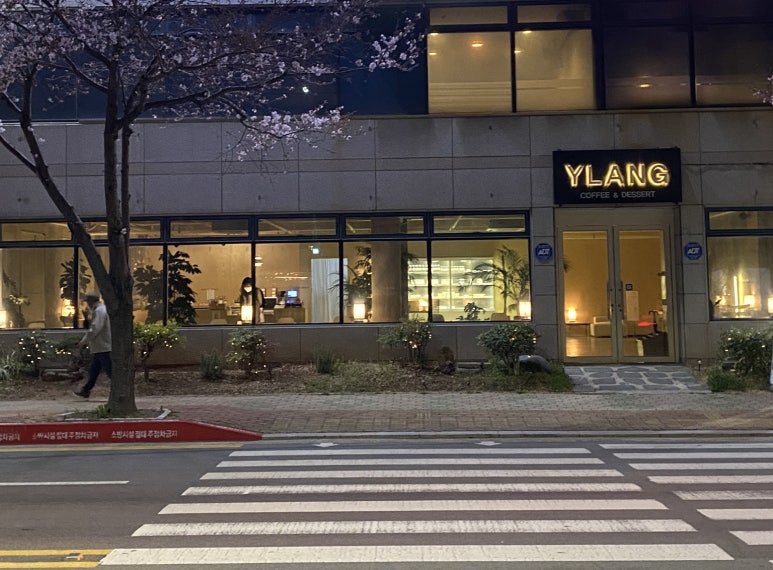 일랑더치 이미지