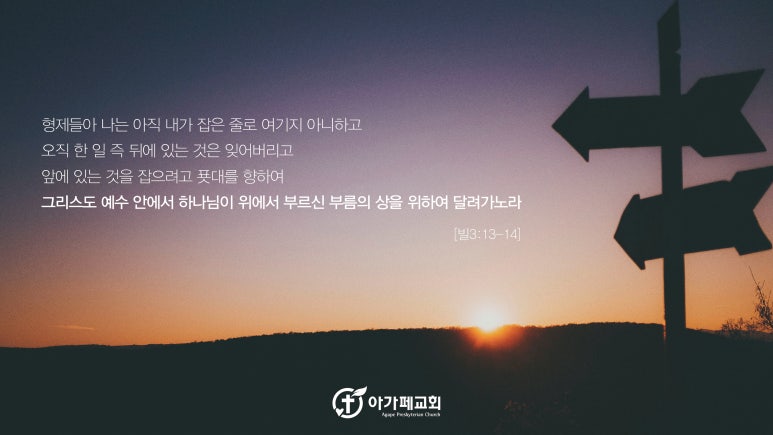 코디오주 이미지