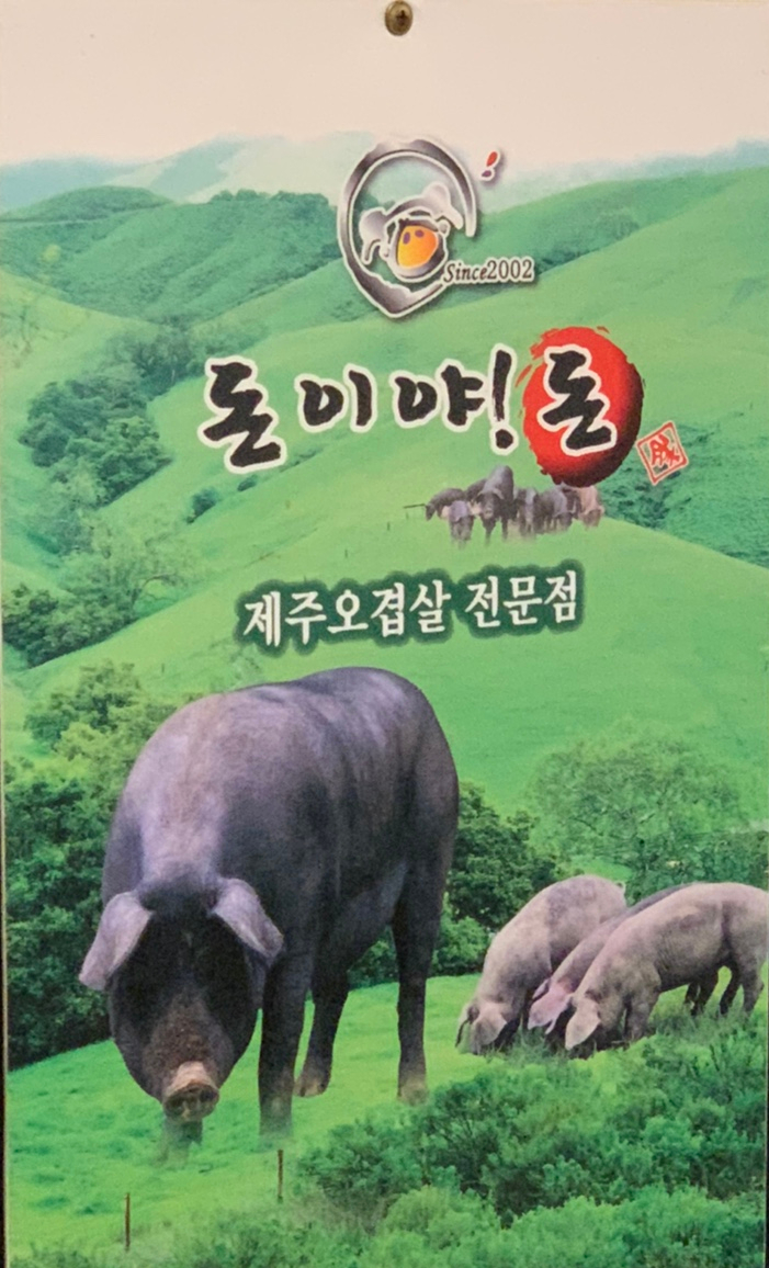 돈이야돈 이미지