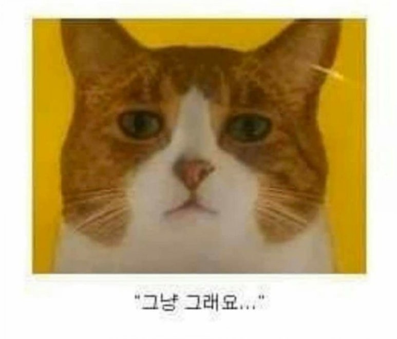 두둥 이미지