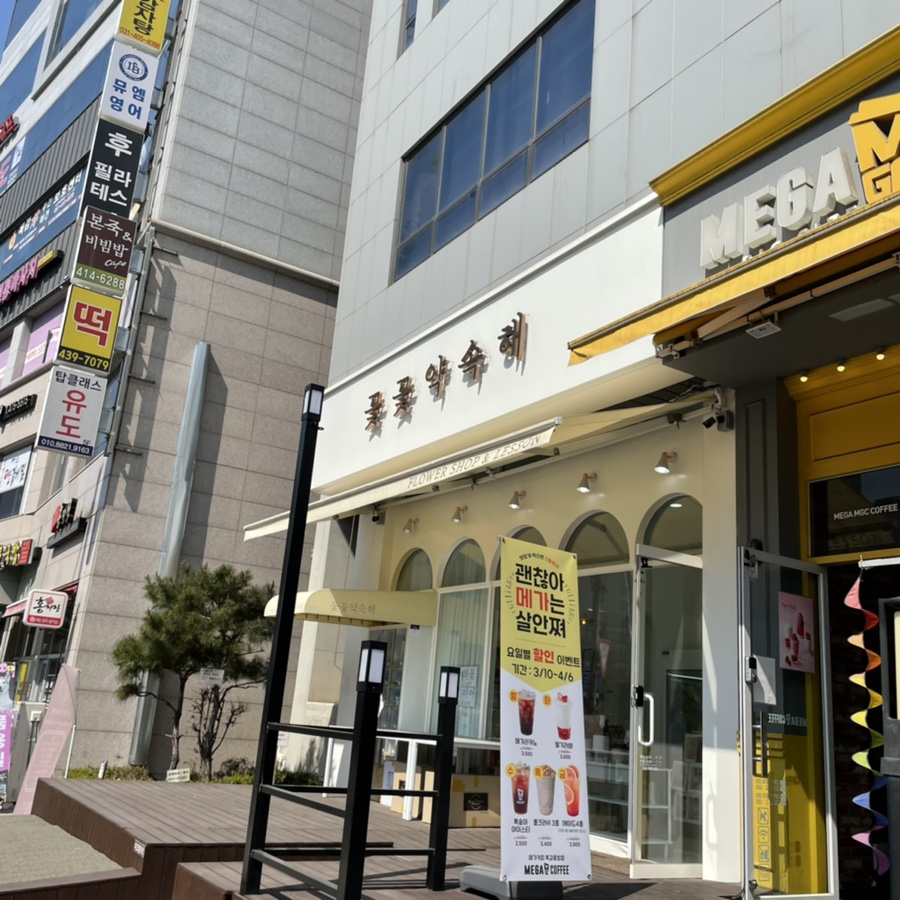 꽃꽃약속해 이미지