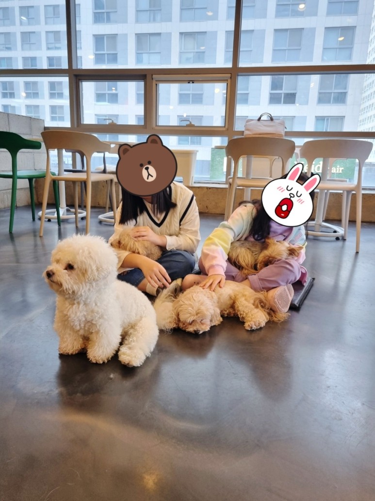 카페몽몽 이미지