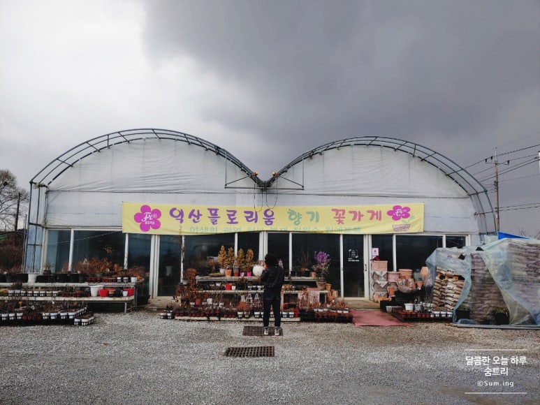 제일분재화원 이미지