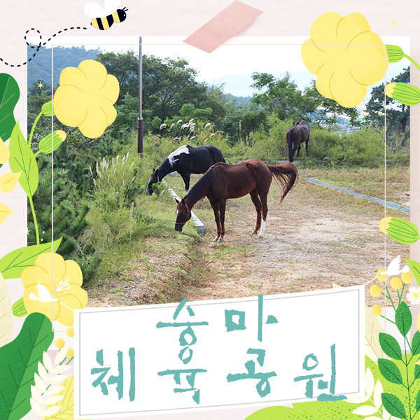 장흥 승마체육공원 이미지