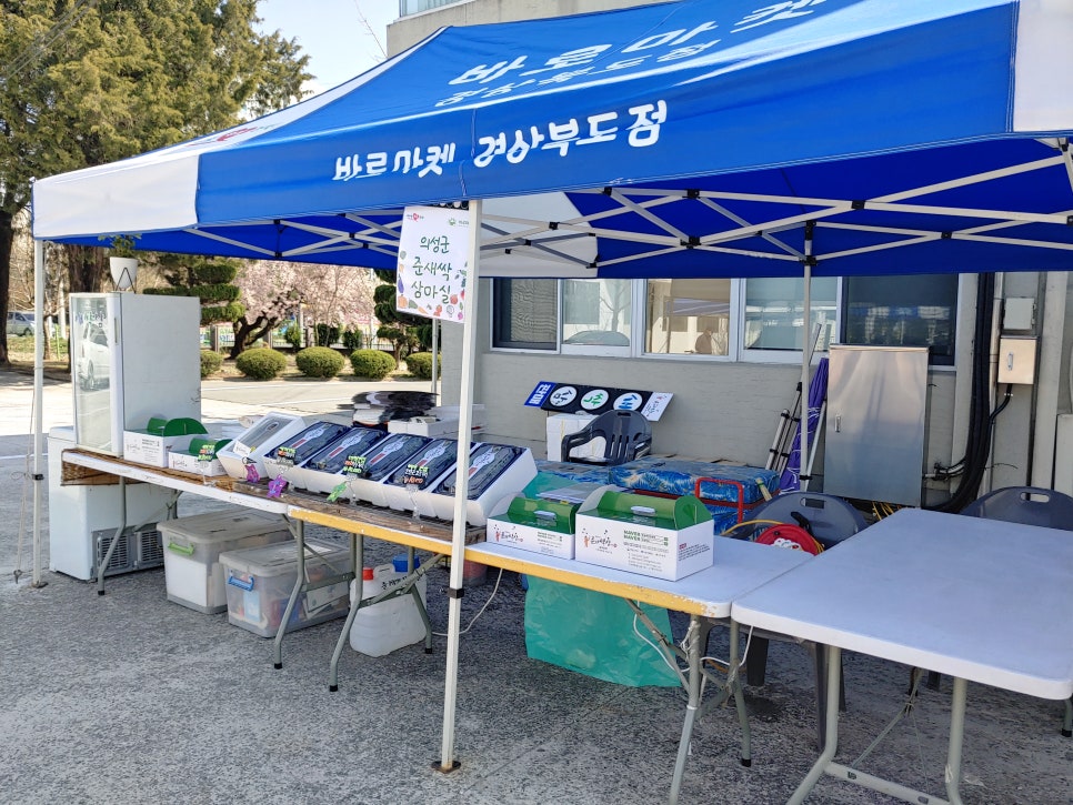 가을빛고운 의성 장마실 이미지