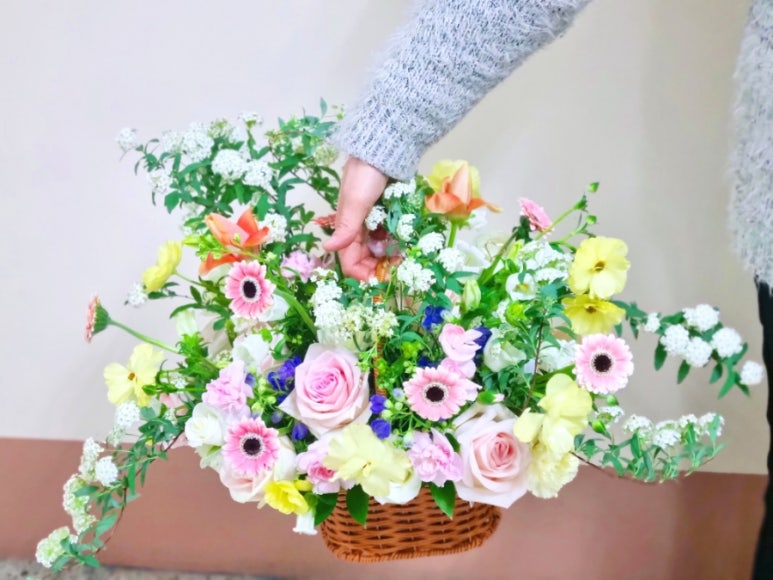 새아라아뜰리에 이미지