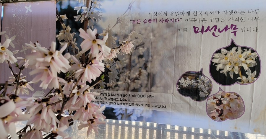 미선순대 이미지