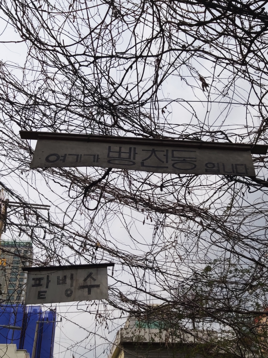 쭈쭈상회 이미지