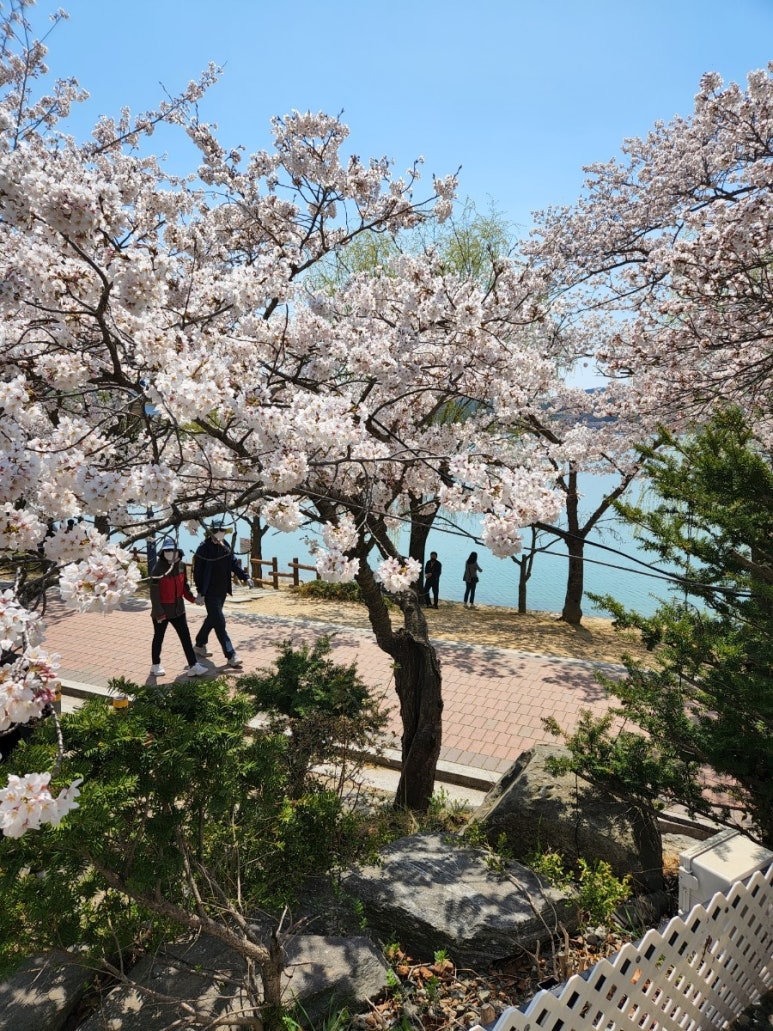 백조관광펜션 이미지