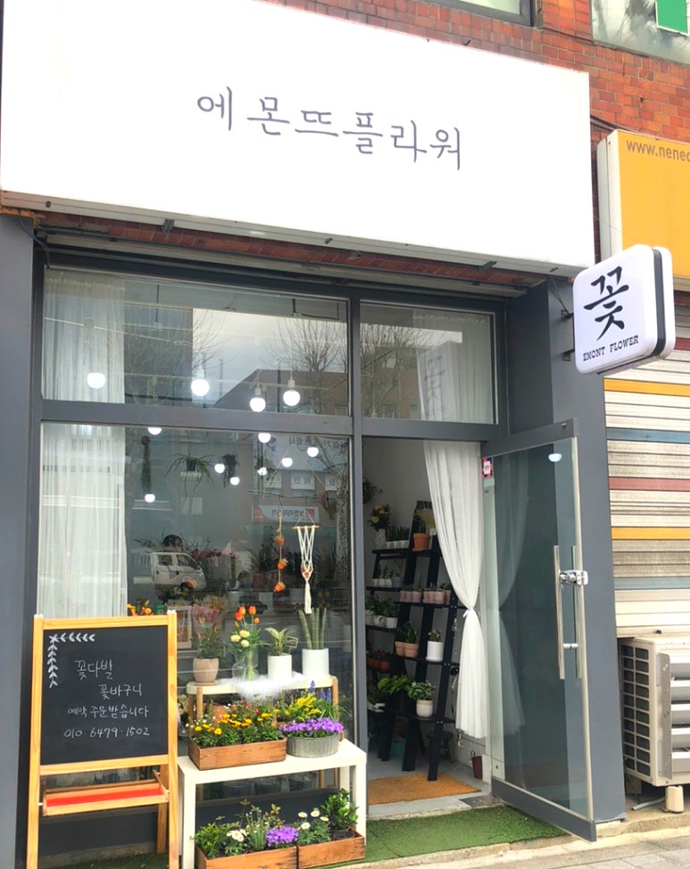 에몬뜨플라워 이미지