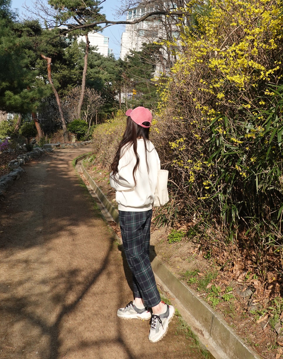 씨드느와 이미지
