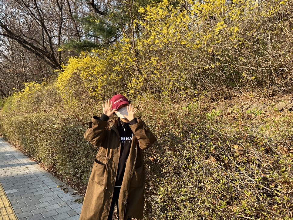 민들레초밥 이미지