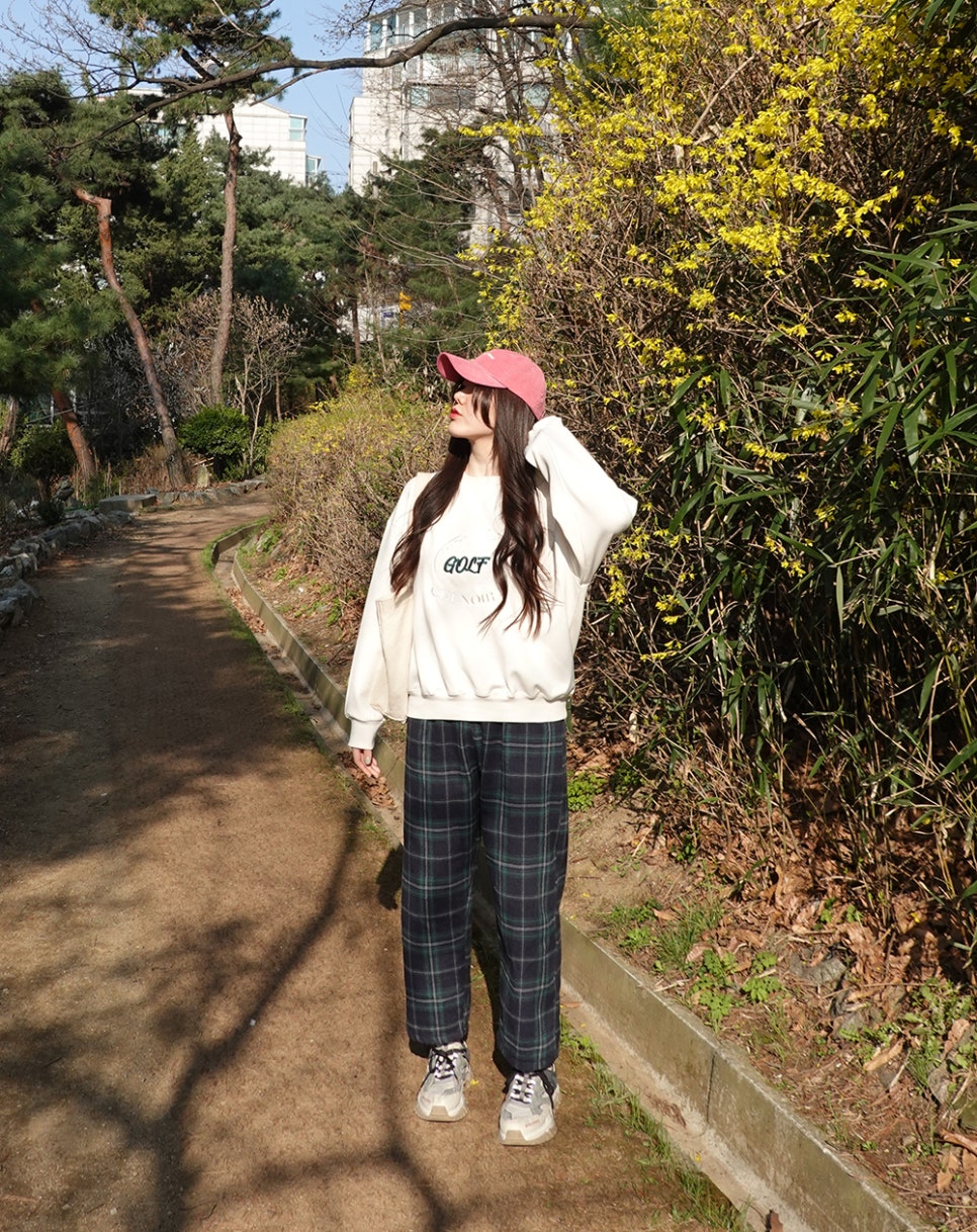 씨드느와 이미지