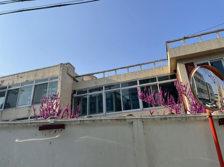 삼각지연합의원 이미지