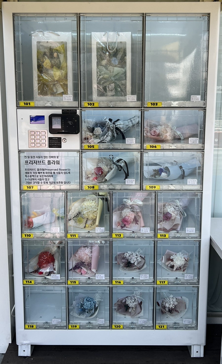 꽃꽃약속해 이미지