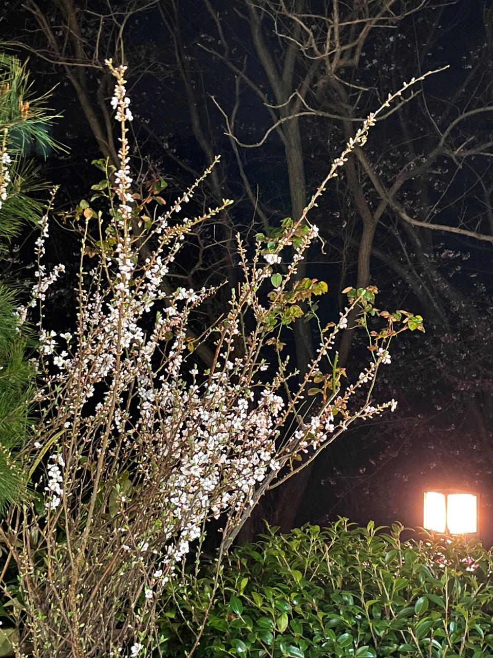 부경축산물도매센터 이미지