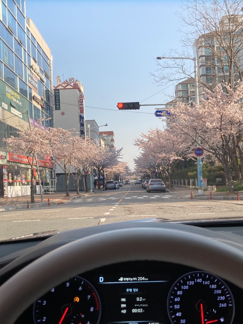 디엔플라워 이미지