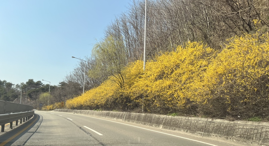 벙커카워시 이미지