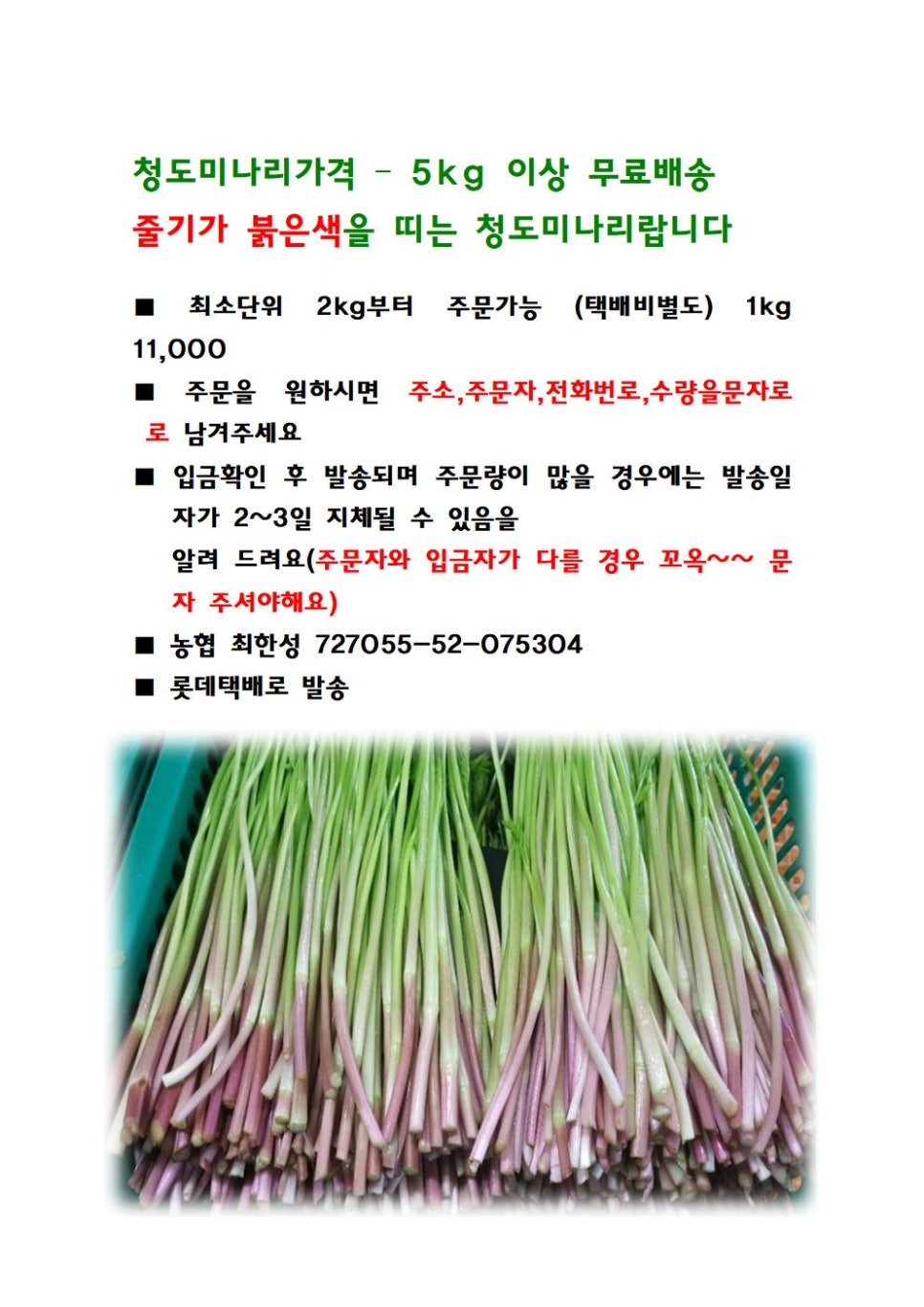 더싱싱농장 이미지