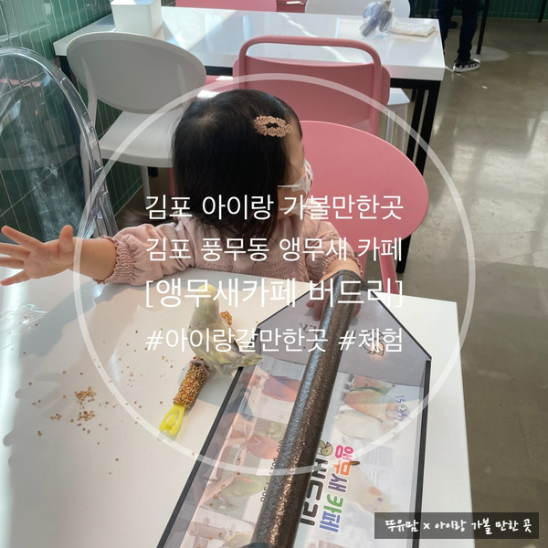 버드리김포 이미지