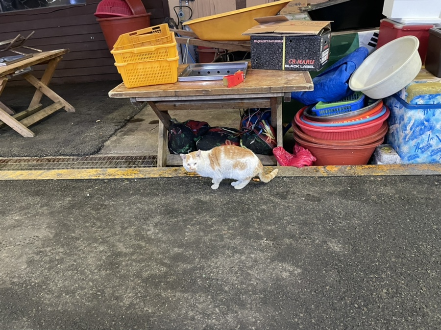 반도물산 이미지