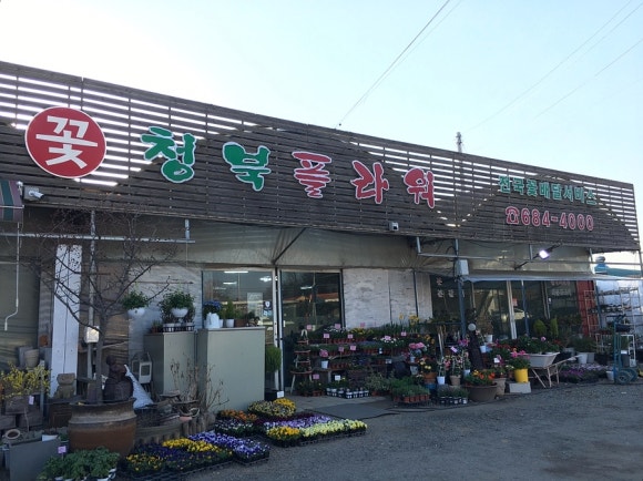 기버플라워 이미지