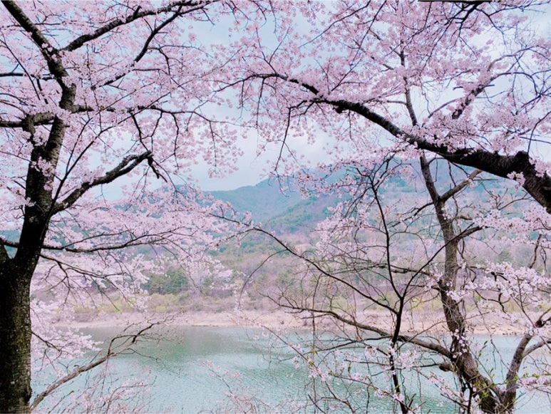 밀양캠핑장 이미지