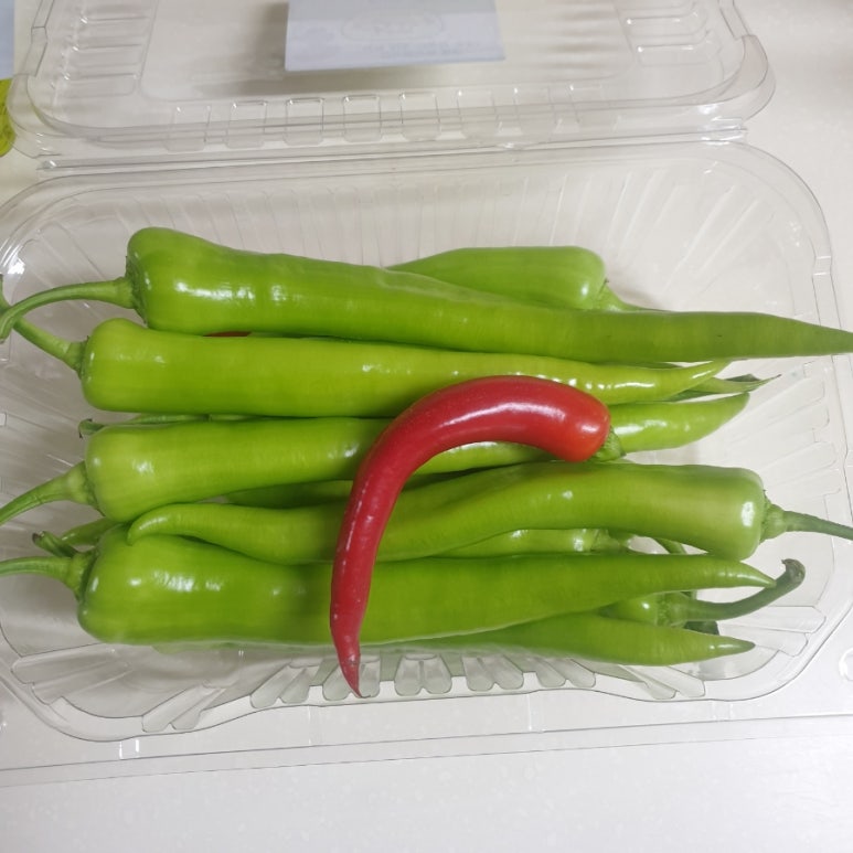 영농법인조합 농부의꿈 이미지