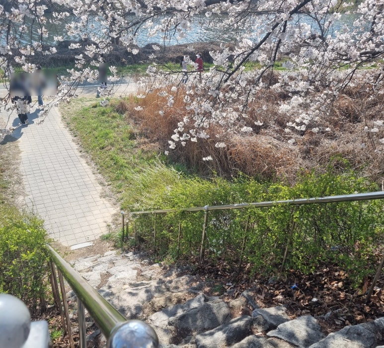 빽다방전주하가점 이미지